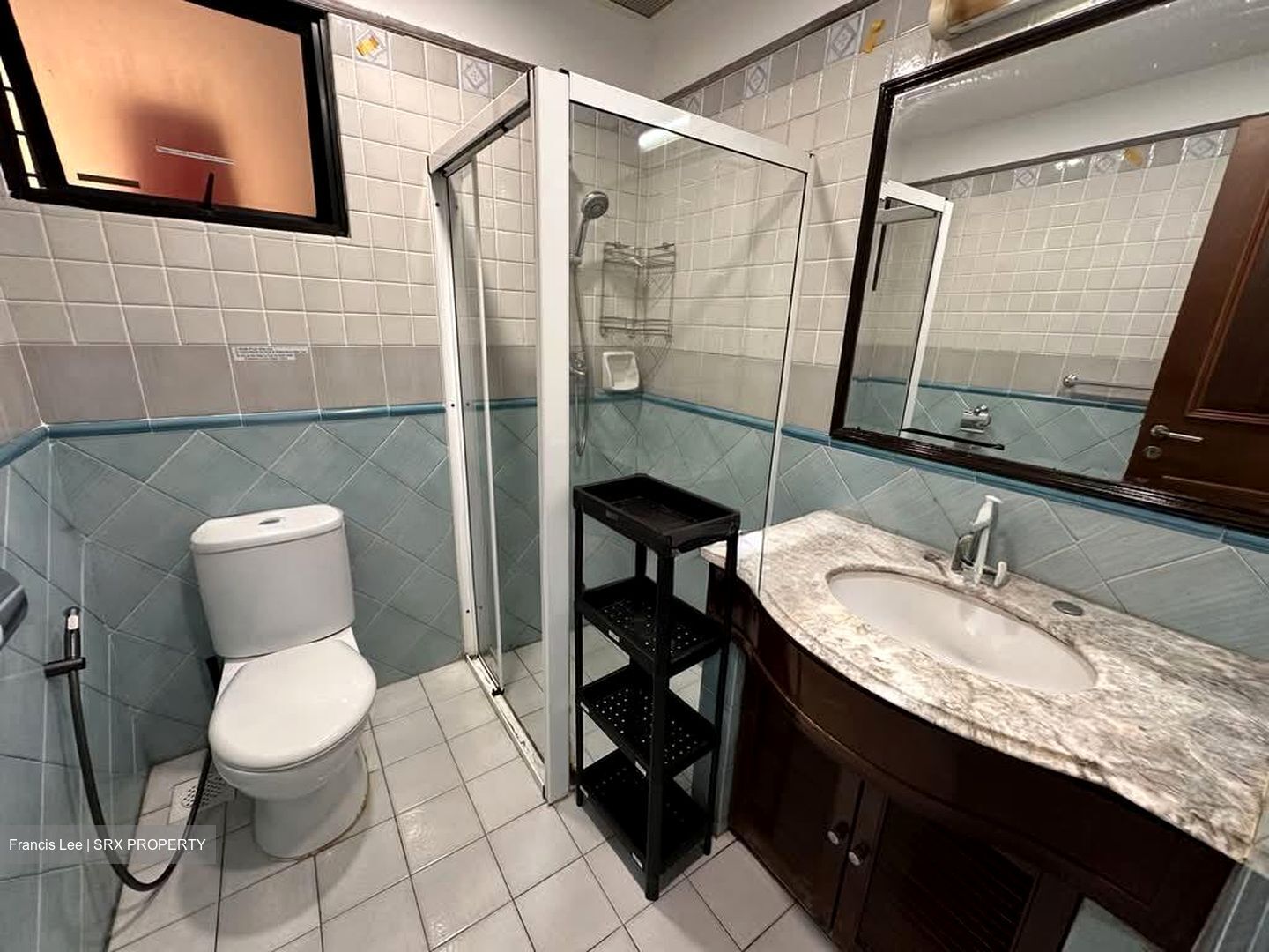 Dover Parkview (D5), Condominium #589337161